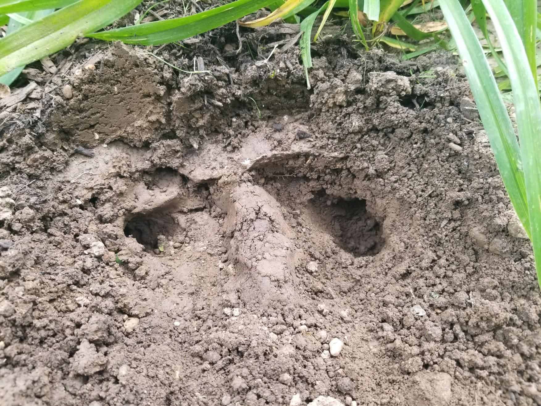 The Lebanon Trap and the Fragile Illusion of a US Iran Truce