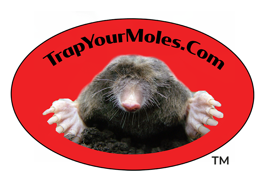 Trap Your Moles