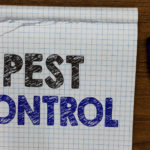 mole pest control